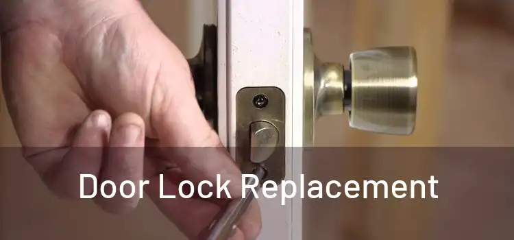  Door Lock Replacement 